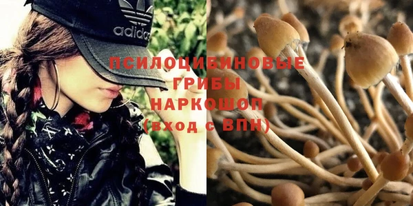 марки nbome Белокуриха