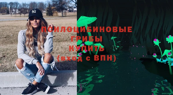 марки nbome Белокуриха