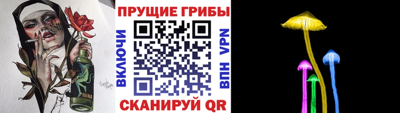Псилоцибиновые грибы Psilocybine cubensis  купить наркотик  Киров 